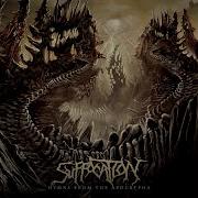 Immortal Execration