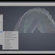 Point Clouds Processing In Real3d Renderer 2