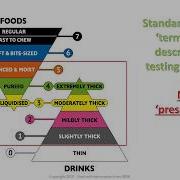 IDDSI 301 Implementation