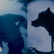 BEASTARS OP Wild Side Official Music Video