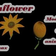 Sunflower Modeling And Animation In 3ds Max Attribute Holder