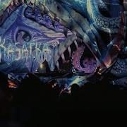Kasatka Naturaíz Festival 2024