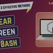 How To Clear Screen In Bash LinuxSimply