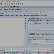 35 ABAP Programming String Comparison Operators CA Contains Any