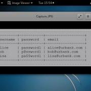 SQL Injection Determining The Number Of Columns