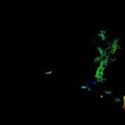 Kinect Test