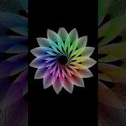 Draw A Flower Python Turtle Graphics Shorts Python Turtle Turtlegraphics