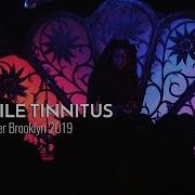 PULSATILE TINNITUS Live At Black Flags Over Brooklyn 2019 FULL SET