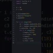 4 Python Turtle Random Flower