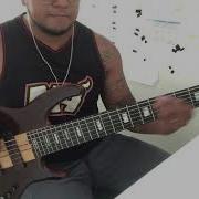 Dirty Loops Cover Bass Hästråtta
