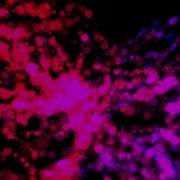 Atomic Particle Test Hitfilm Pro