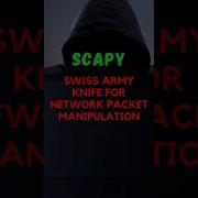 This Python Tool Can Spoof Scan Sniff Anything Scapy Powerful Packet Crafting Tool Shorts