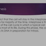 Mitosis Virtual Lab Report