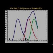 Milwaukee AFNI Workshop Part 4 1st Level Analysis