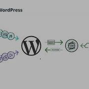Building Your First Headless WordPress Project With ACF PRO And WPGraphQL