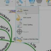 IMindMap Creating Mind Maps