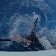 2024 Bermuda Big Game Classic Shatters Payout Records Features Grander Blue Marlin