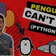 Code An Infinite Free Fall Game In Python Using PyGame Penguins Can T Fly
