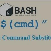 Bash Command Substitution