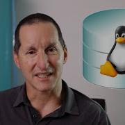 Run ANY Host Command Directly From The Database