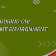 How To Configure CDI Runtime Environment