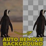 AUTOMATICALLY REMOVE BACKGROUND In Premiere Pro Object Mask Tool