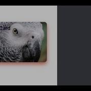 Prototype Custom View Views In Xcode Playground Make A Card View
