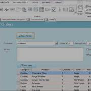 Access 2013 Customizing Form Settings