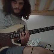 DANGERS OPPOSABLE Bass Cover