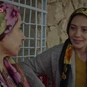 Seyran Beşa 12
