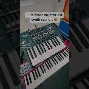 Just Made The Craziest Synth Sound Synthesizer Arturia Shorts