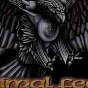 Primal Fear Silver Gold