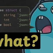 This Is Your Last Video About Golang Structs