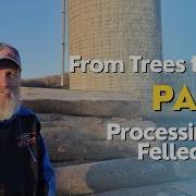 From Trees To Trim Step 1 Processing The Felled Trees