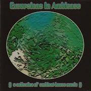 Various Excursions In Ambience A Collection Of Ambient House Music Dub Techno Ambient 1993