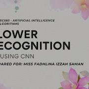 CSC583 CNN FLOWER RECOGNITION