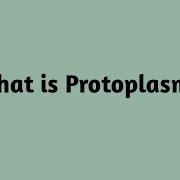 What Is Protoplasm