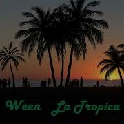 Ween She Caught My Fancy Definitive Version