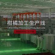 Citrus Orange Lemon Processing Line Triowin Citrus Extractor And Citrus Processing Plant In China