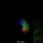 Flower Animation In Python Shorts Python Css