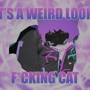Daily VRChat Experience 5