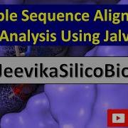 Выравнивание множественных последовательностей с использованием Jalview