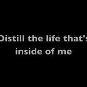 Nirvana Pennyroyal Tea Lyrics