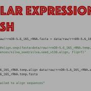 Regular Expressions In Sed Grep Powerful Tools For Searching And Modifying Files In Bash CC022
