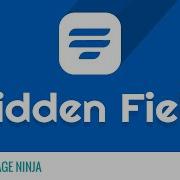 Hidden Input Field