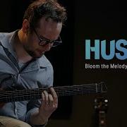 Всё что вам нужно знать о гитаре Hush I Доннер Спотлайт