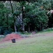 500 Magnum Slow Motion 440 Grain Bullet