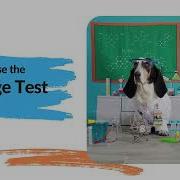 Epipaws Pet Age Test Intro Video