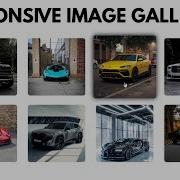 Responsive Image Gallery Using HTML CSS JavaScript Popup Image Preview Tutorial