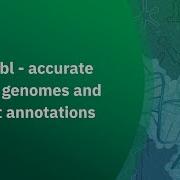 Ensembl Accurate Genes Genomes And Variant Annotations